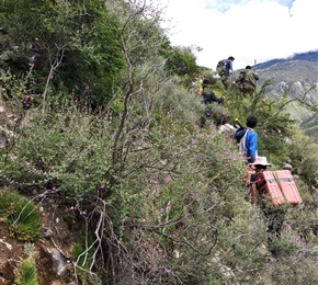 川藏线大地电磁测量
