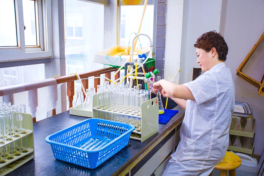 多龙矿区地质样品检测项目·