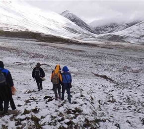 西藏尼木地区铜矿整装勘查区关键基础地质研究项目