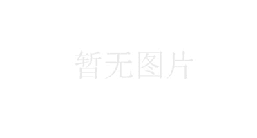 地勘院召开八年战略规划研讨会