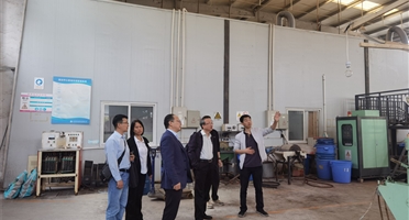 加强矿石基因特性研究 助力资源高效开发利用 | 矿勘集团战略性矿产资源综合利用人才创新工作室举办技术交流会