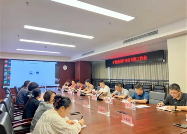三化建设 | 抓实规范管理 盘活存量资源—矿勘集团召开矿业权专题工作会