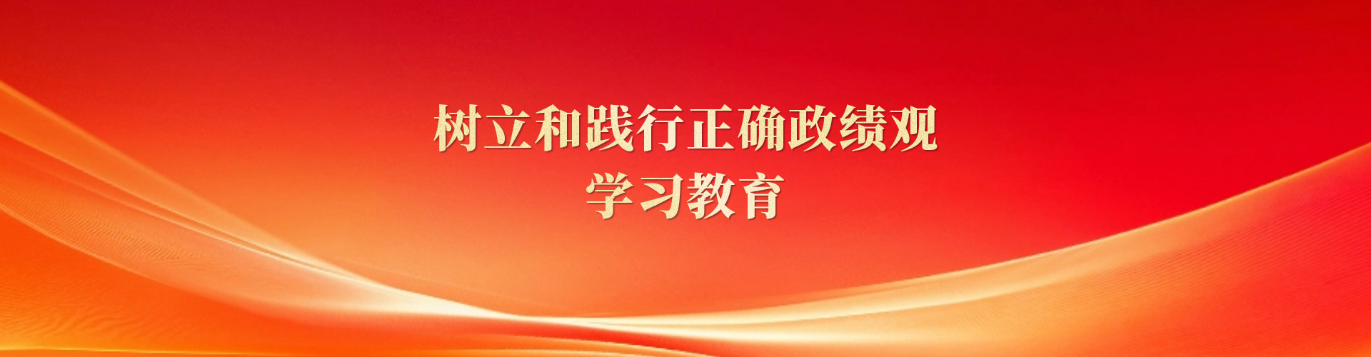 树立和践行正确政绩观学习教育